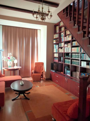Ara Modern Apartament